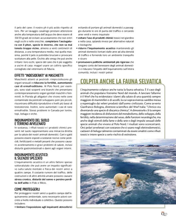 pag 23