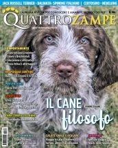 quattrozampe