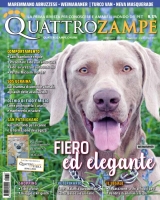 Quattrozampe