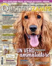 quattrozampe