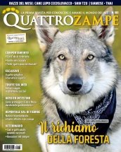 quattrozampe